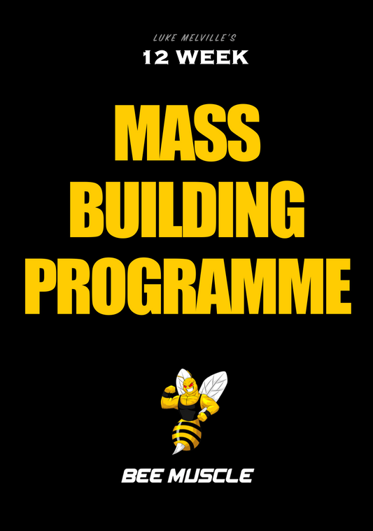 MASS BUILDING PROGRAMME